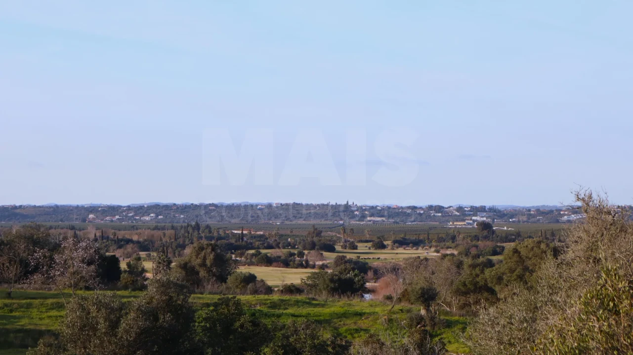 Terreno para Venda em Alcantarilha e Pêra Foto 1