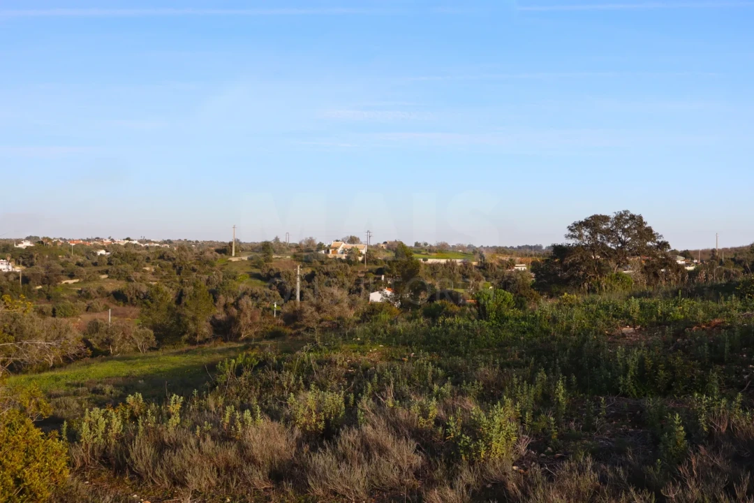 Terreno para Venda em Alcantarilha e Pêra Foto 2