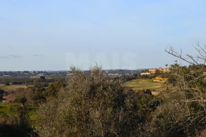 Terreno para Venda em Alcantarilha e Pêra