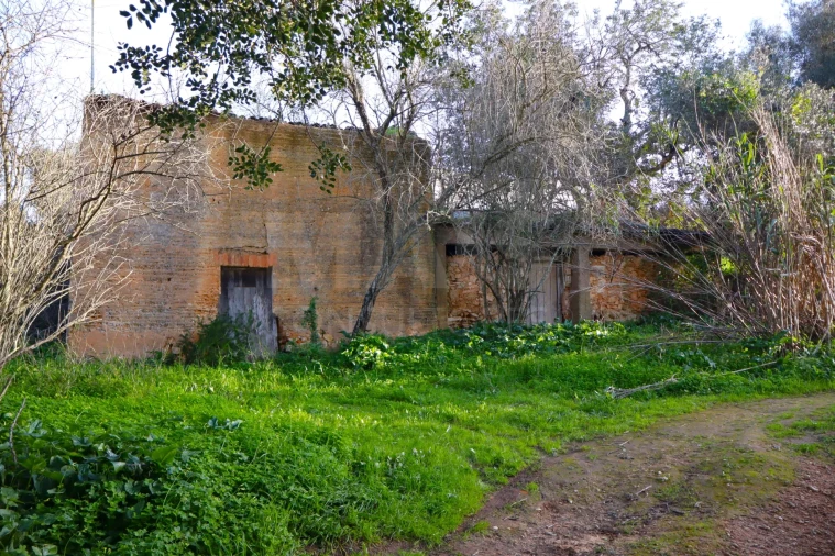 Terreno para Venda em Alcantarilha e Pêra Foto 3