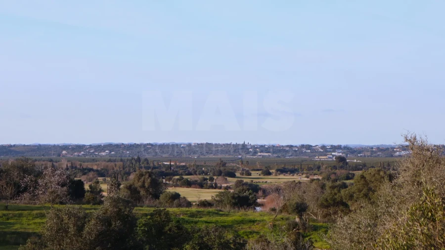 Terreno para Venda em Alcantarilha e Pêra