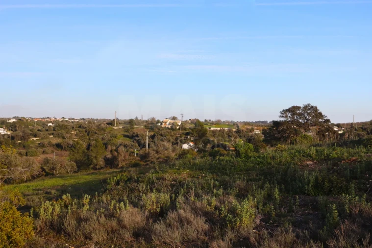 Terreno para Venda em Alcantarilha e Pêra Foto 2