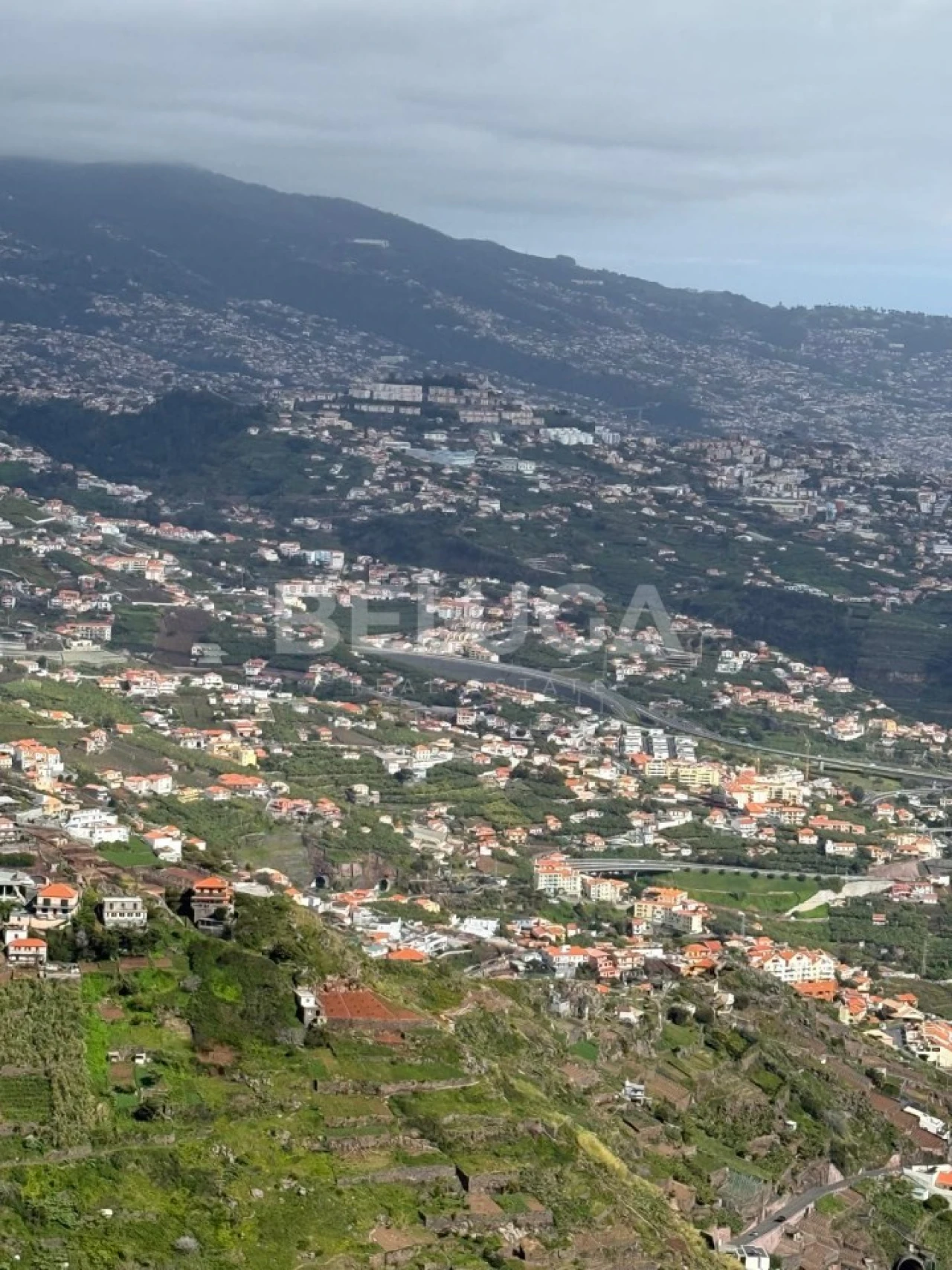 Terreno para Venda em Camara de Lobos Foto 8