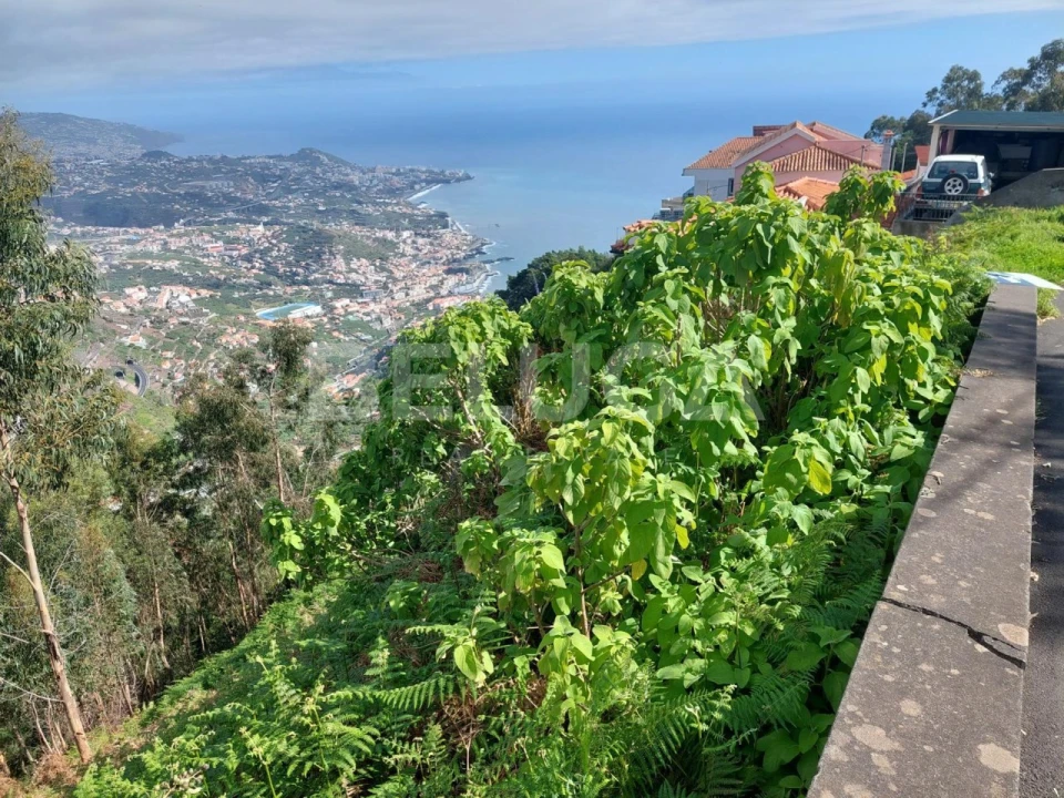 Terreno para Venda em Camara de Lobos Foto 11