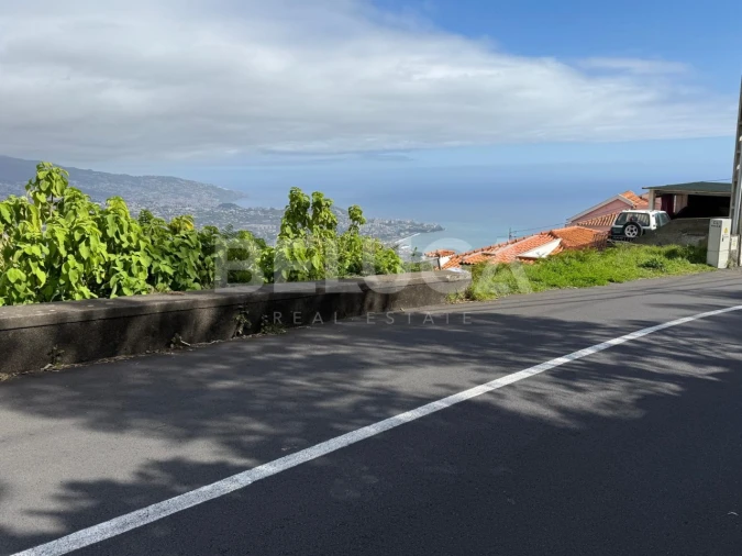 Terreno para Venda em Camara de Lobos Foto 4