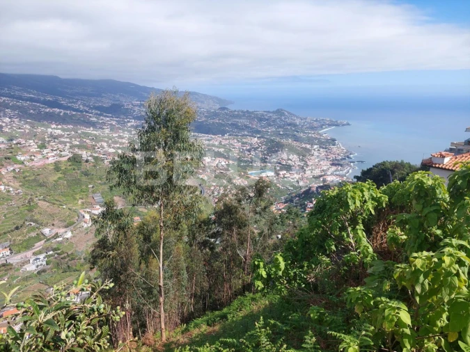 Terreno para Venda em Camara de Lobos Foto 9
