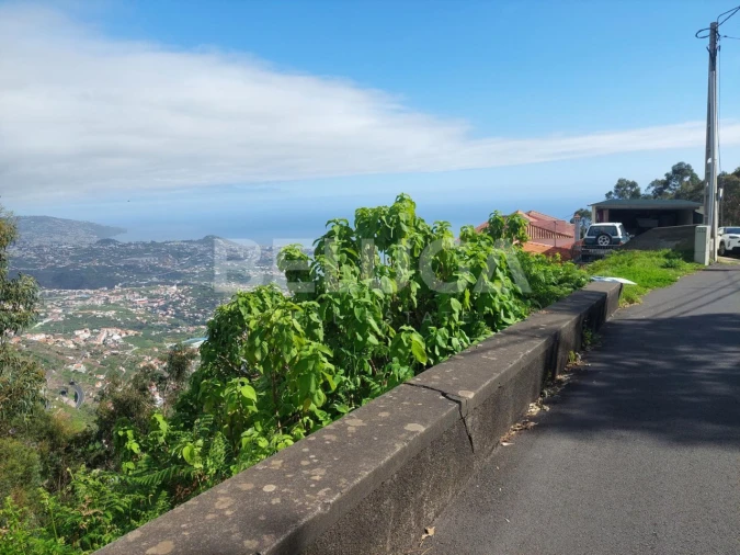 Terreno para Venda em Camara de Lobos Foto 12