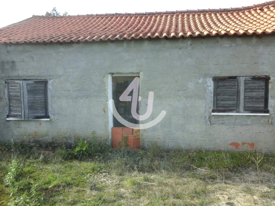 Terreno Agricola ou Rústico para Venda em Chancelaria Foto 3