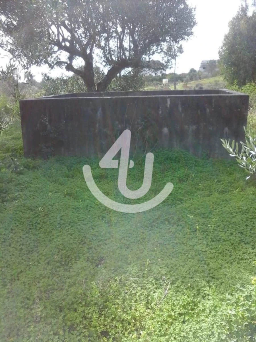 Terreno Agricola ou Rústico para Venda em Chancelaria Foto 4