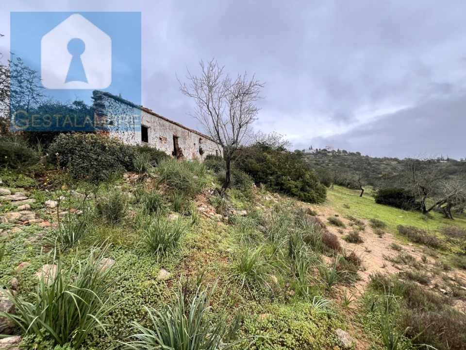 Terreno Misto para Venda em Paderne Foto 6