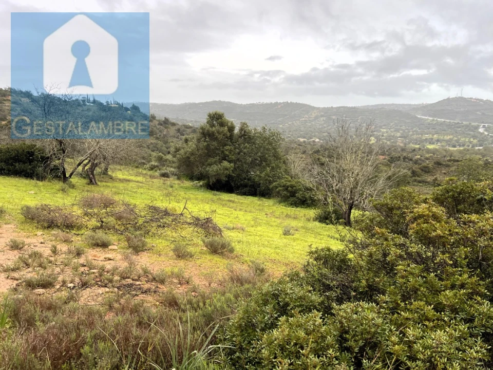 Terreno Misto para Venda em Paderne Foto 13