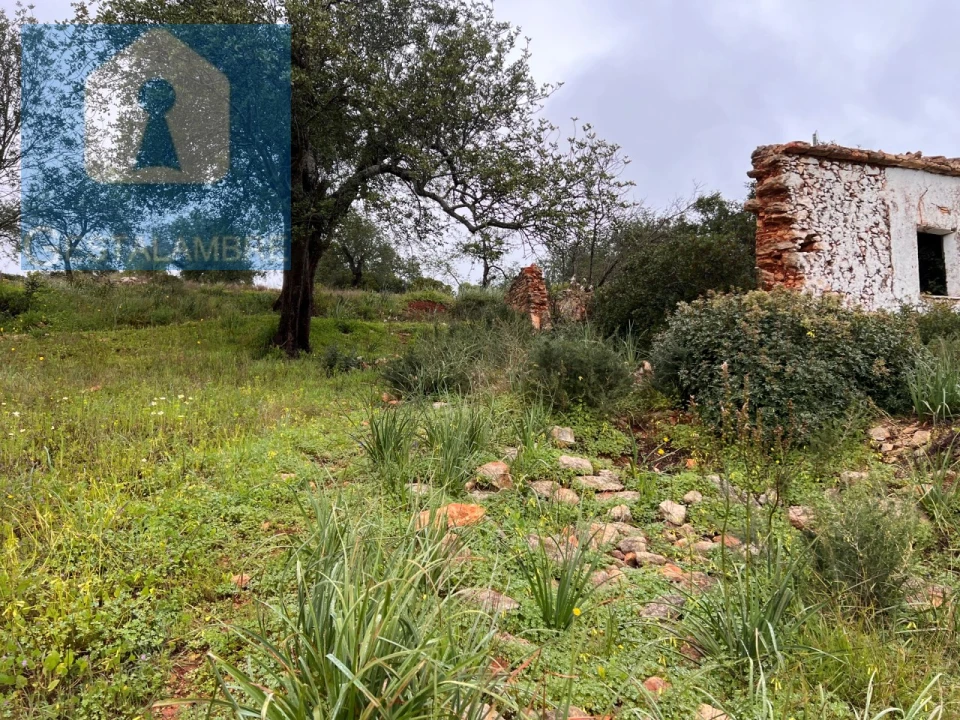 Terreno Misto para Venda em Paderne Foto 15