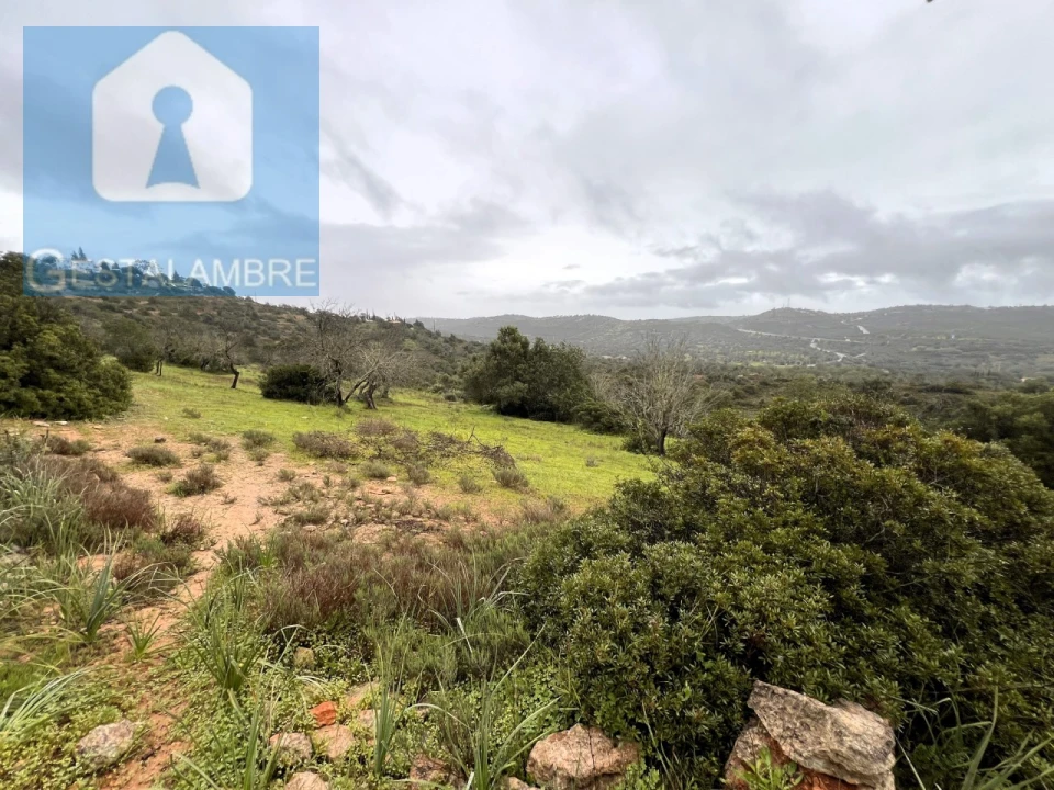 Terreno Misto para Venda em Paderne Foto 16