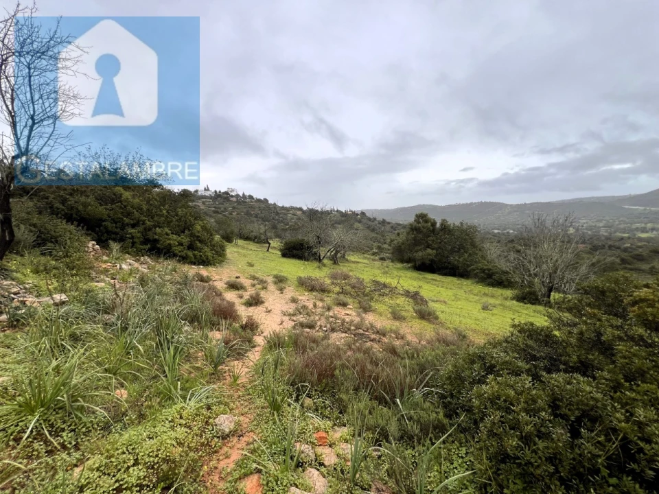 Terreno Misto para Venda em Paderne Foto 17