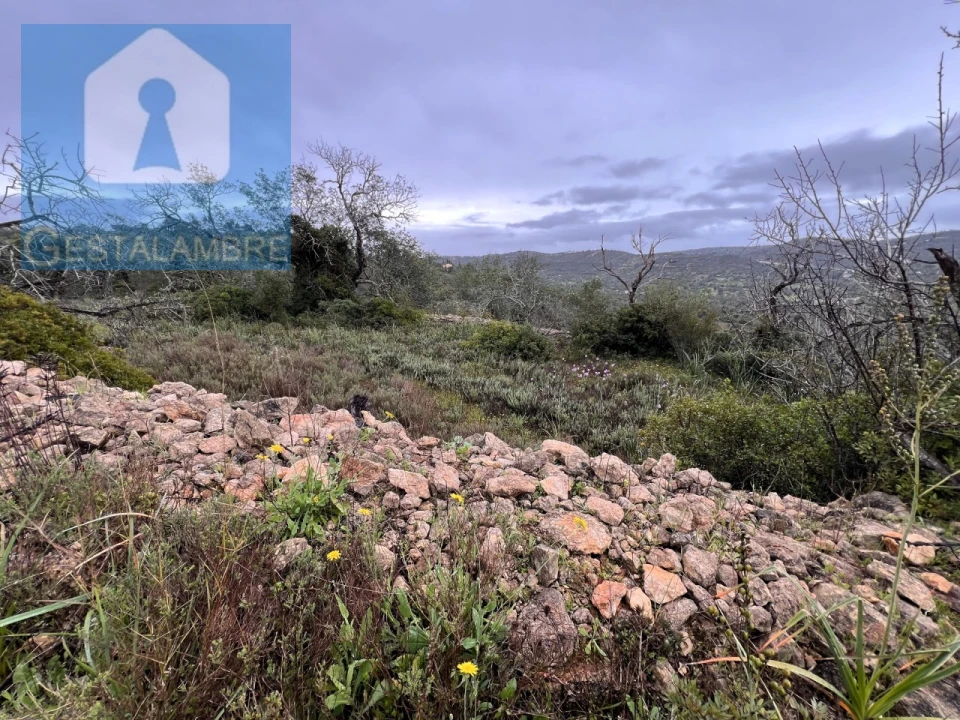 Terreno Misto para Venda em Paderne Foto 32