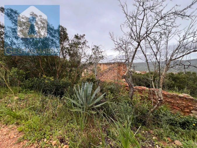 Terreno Misto para Venda em Paderne Foto 27