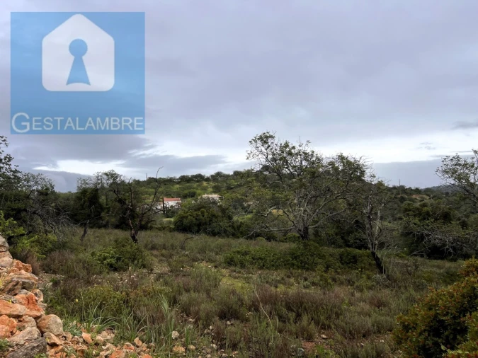 Terreno Misto para Venda em Paderne Foto 33