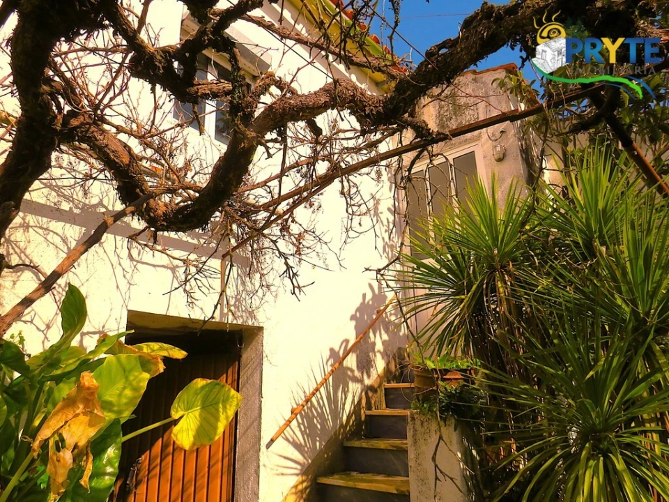 Quinta T3 para Venda em Cabeçudo Foto 15