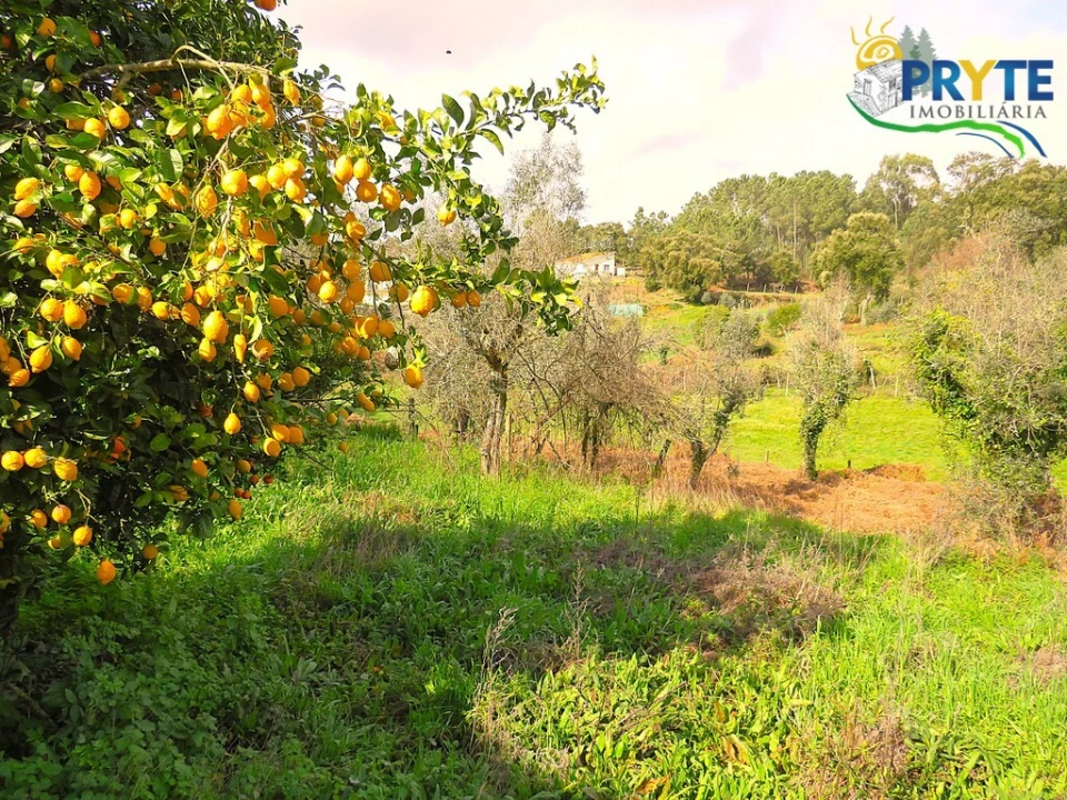 Quinta T3 para Venda em Cabeçudo Foto 19