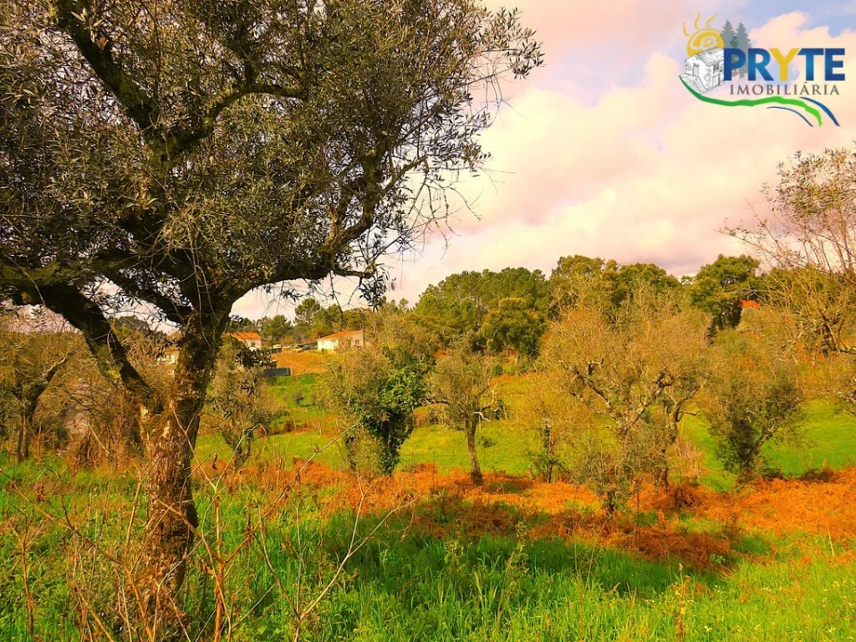 Quinta T3 para Venda em Cabeçudo Foto 22