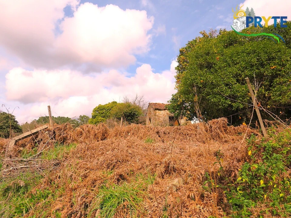 Quinta T3 para Venda em Cabeçudo Foto 23