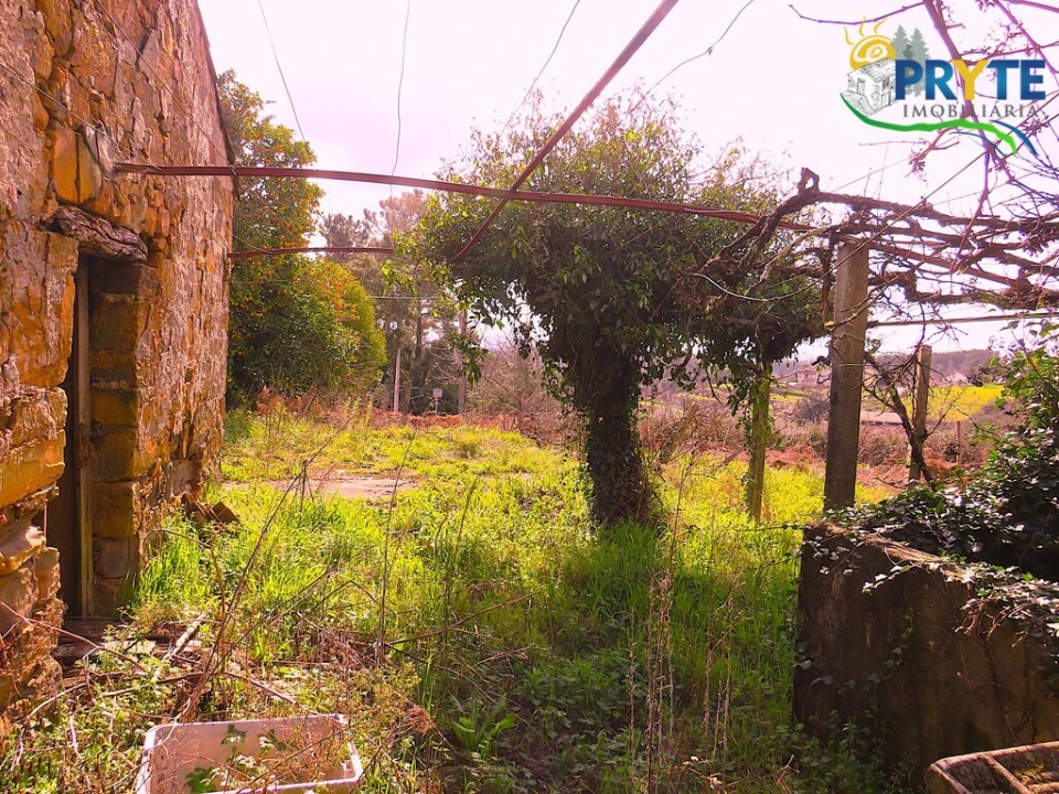 Quinta T3 para Venda em Cabeçudo Foto 28