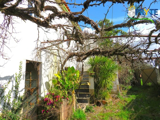 Quinta T3 para Venda em Cabeçudo Foto 3