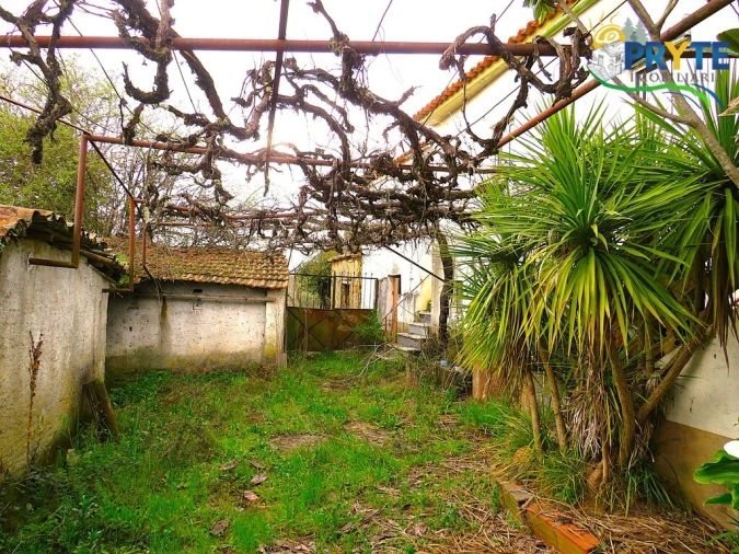 Quinta T3 para Venda em Cabeçudo Foto 13