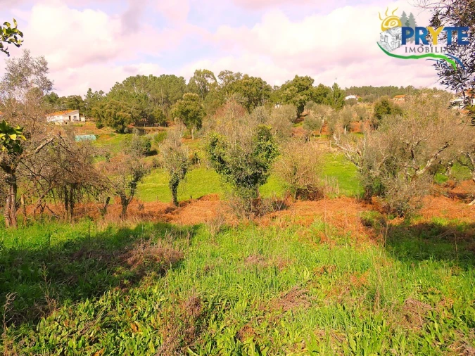 Quinta T3 para Venda em Cabeçudo Foto 18