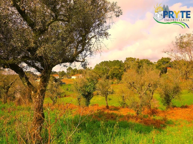 Quinta T3 para Venda em Cabeçudo Foto 22