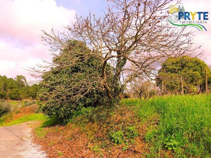 Quinta T3 para Venda em Cabeçudo Foto 25