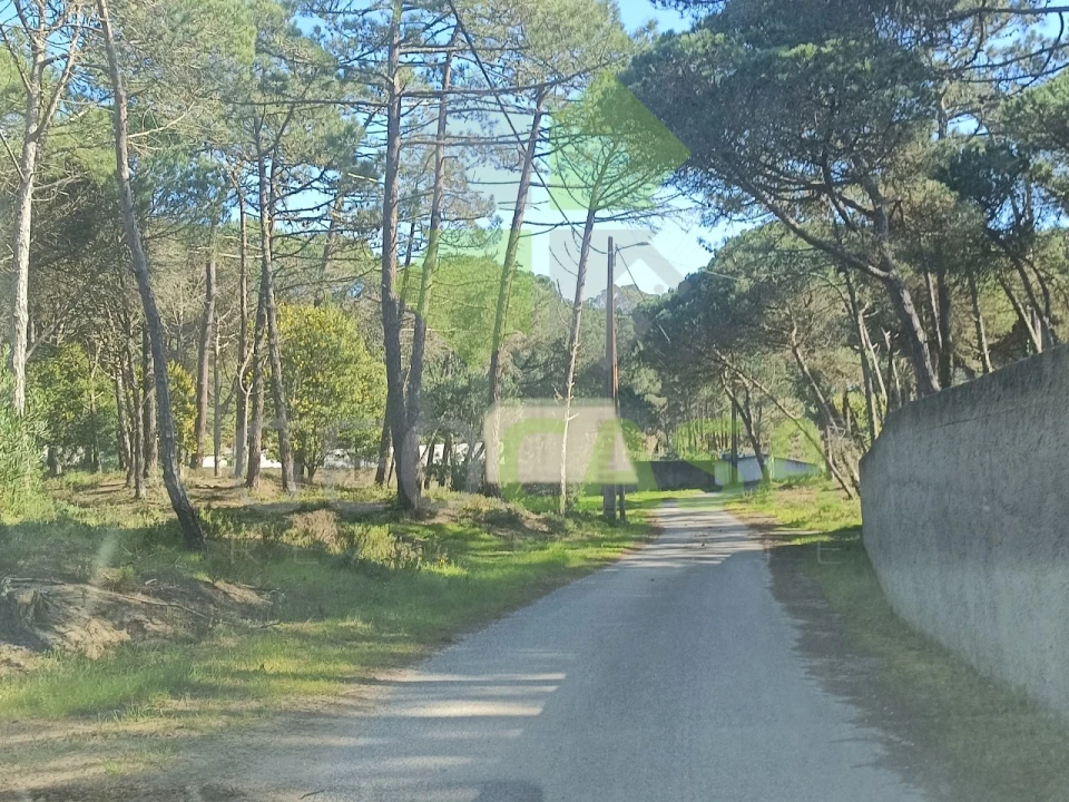 Terreno Agricola ou Rústico para Venda em Santa Maria e São Miguel, São Martinho, São Pedro Penaferrim Foto 15