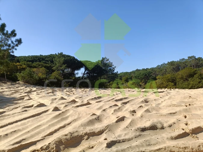 Terreno Agricola ou Rústico para Venda em Santa Maria e São Miguel, São Martinho, São Pedro Penaferrim Foto 11
