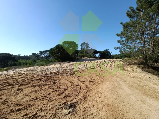 Terreno Agricola ou Rústico para Venda em Santa Maria e São Miguel, São Martinho, São Pedro Penaferrim Foto 13