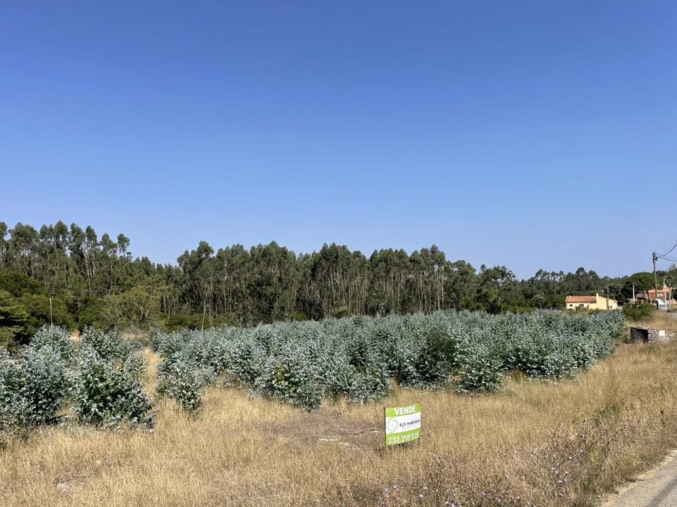 Terreno Agricola ou Rústico para Venda em Reguengo Grande Foto 1