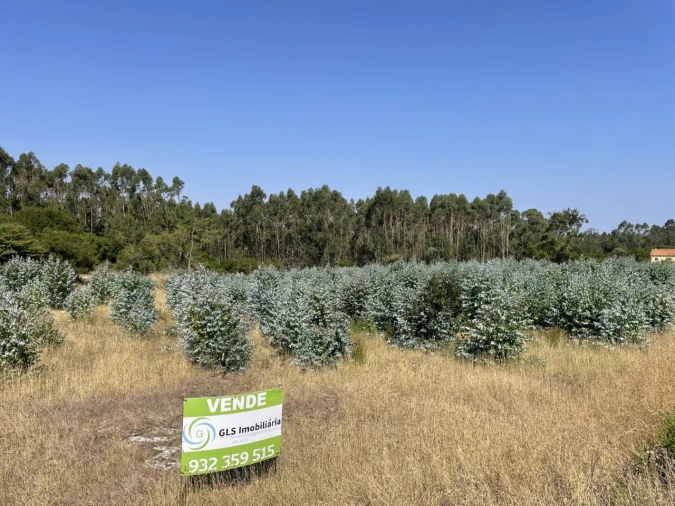 Terreno Agricola ou Rústico para Venda em Reguengo Grande Foto 2