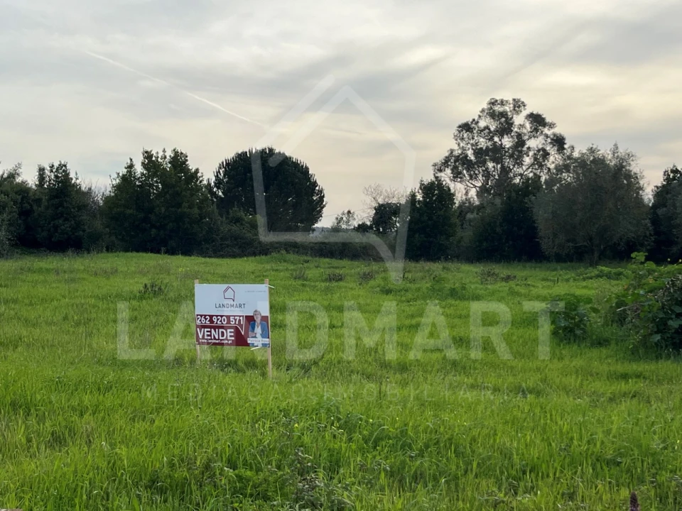 Terreno para Venda em Aljubarrota Foto 1