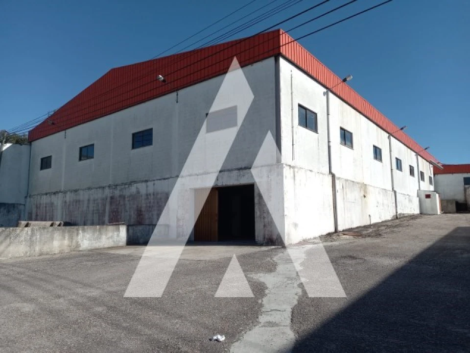 Armazém para Venda em Juncal Foto 3