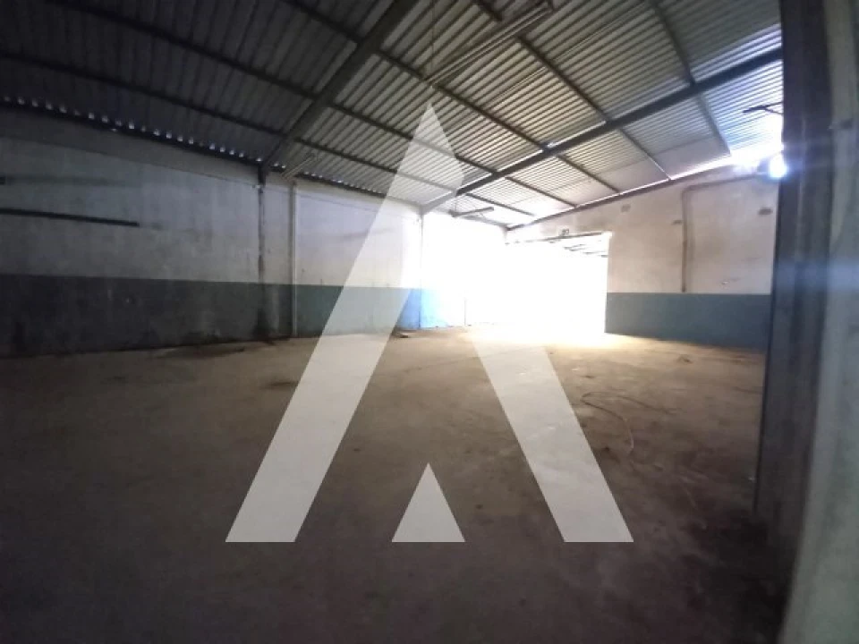 Armazém para Venda em Juncal Foto 4