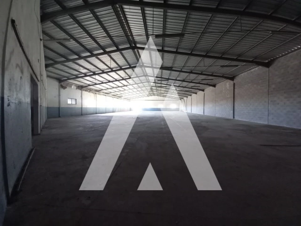 Armazém para Venda em Juncal Foto 5