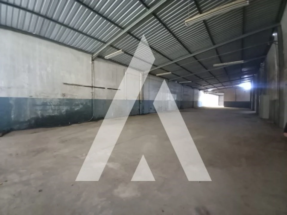 Armazém para Venda em Juncal Foto 6