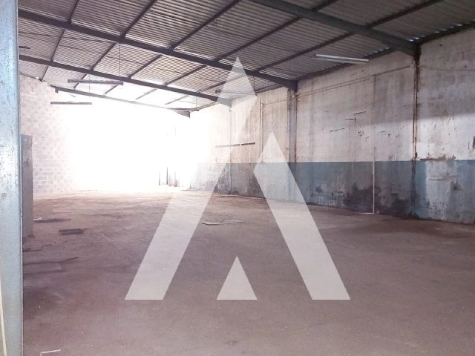 Armazém para Venda em Juncal Foto 11