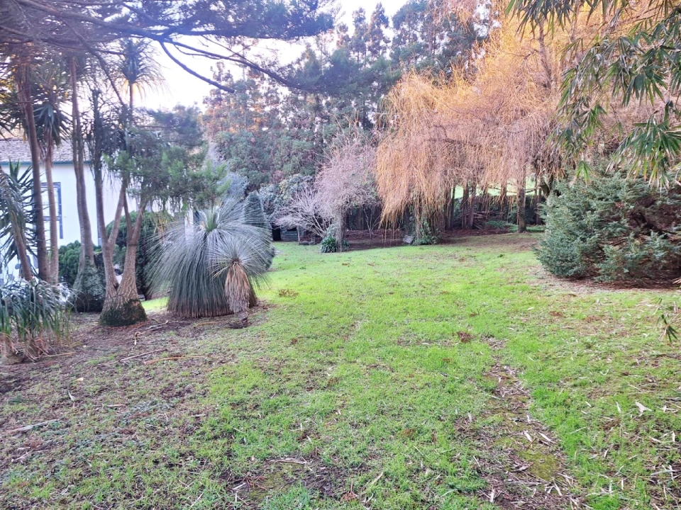 Moradia T4 para Venda em Feteira Foto 72