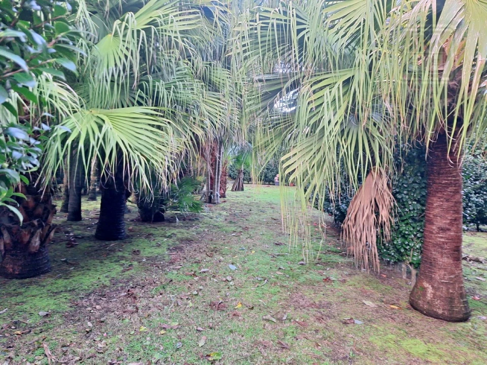 Moradia T4 para Venda em Feteira Foto 79