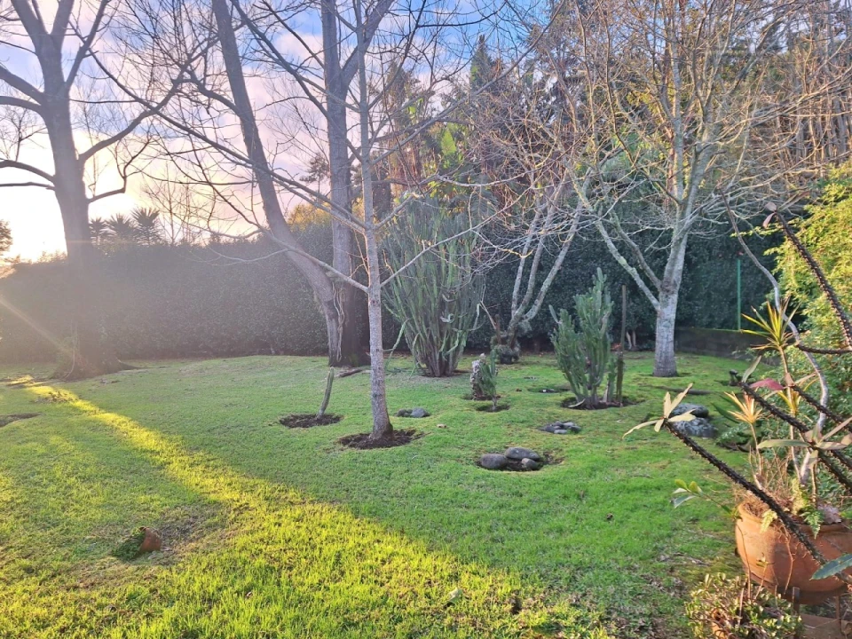 Moradia T4 para Venda em Feteira Foto 83