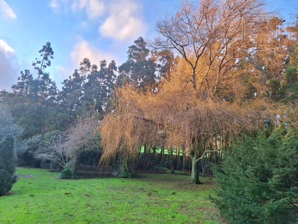 Moradia T4 para Venda em Feteira Foto 84