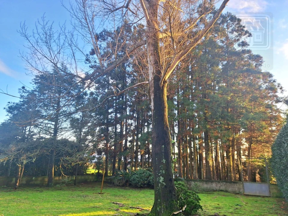 Moradia T4 para Venda em Feteira Foto 85