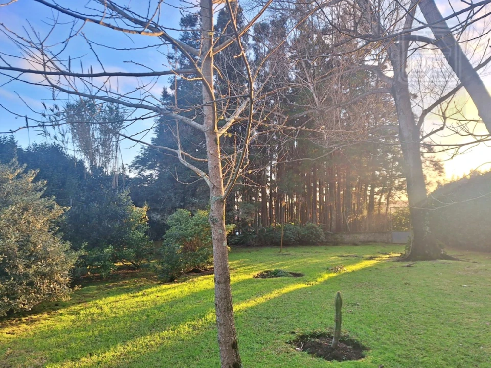 Moradia T4 para Venda em Feteira Foto 87