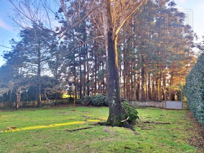 Moradia T4 para Venda em Feteira Foto 21