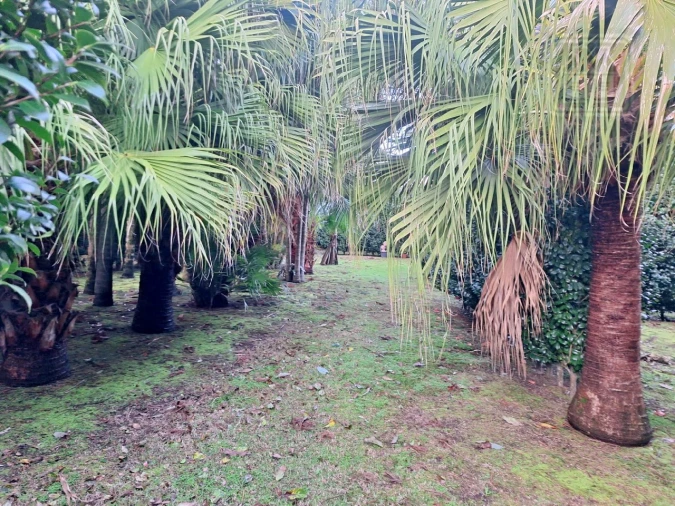 Moradia T4 para Venda em Feteira Foto 79